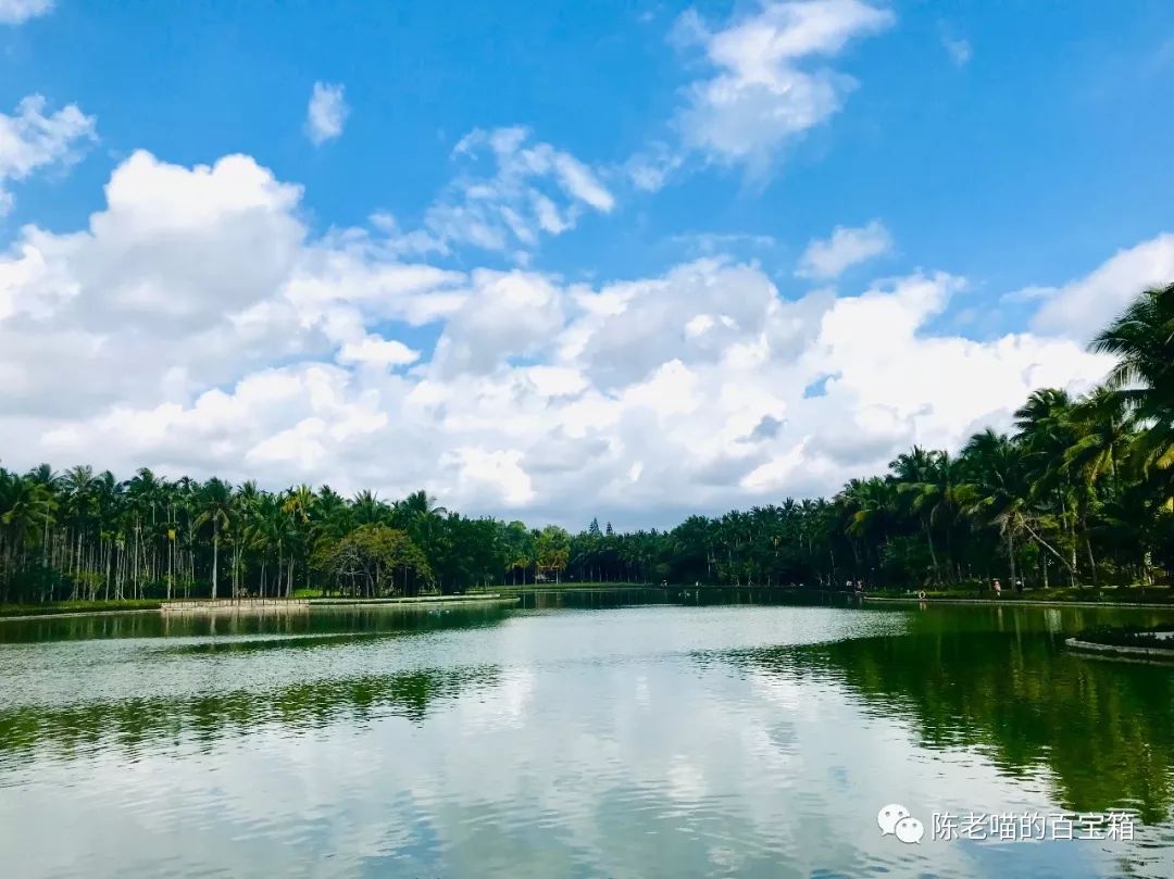 開車去海南攻略_開車去海南劃算嗎_海南自駕游開車注意事項