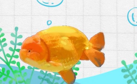 蘭壽金魚用加熱棒嗎？（蘭壽金魚溫度加熱好還是不好）