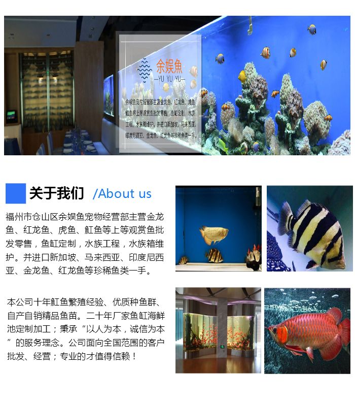 福州市倉山區余娛魚寵物經營部
