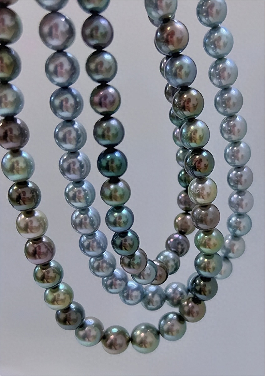 彩虹珍珠多肉_多肉彩虹和紫珍珠區(qū)別_多肉彩虹糖和紫珍珠區(qū)別