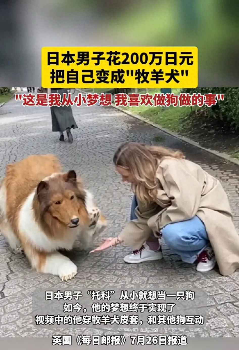 網上買狗可靠嗎_網上買狗可靠嗎_網上買狗可靠嗎