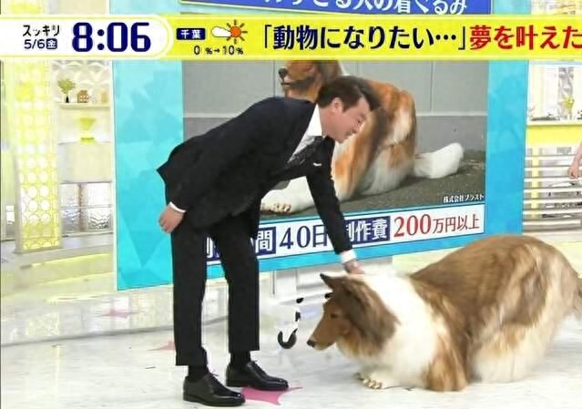 網上買狗可靠嗎_網上買狗可靠嗎_網上買狗可靠嗎