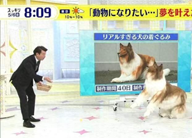 網上買狗可靠嗎_網上買狗可靠嗎_網上買狗可靠嗎