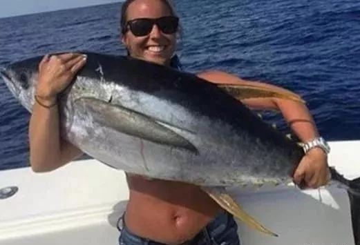 觀賞品種魚(yú)價(jià)格排名_觀賞品種魚(yú)價(jià)格表_各種觀賞魚(yú)的價(jià)格與品種