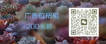 多肉植物雪蓮怎么養(yǎng)