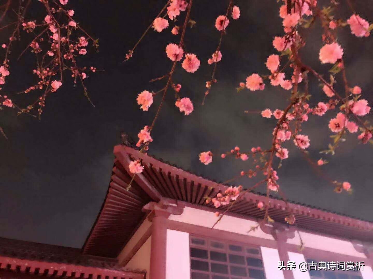 情人節(jié)情詩(shī)大全_情人的情詩(shī)_情人詩(shī)一首