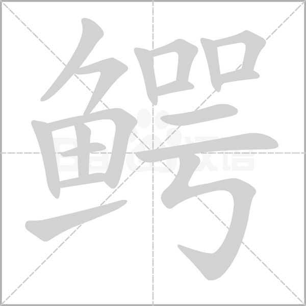 魚字旁加一個(gè)咢念什么字？《鱷》怎么讀？