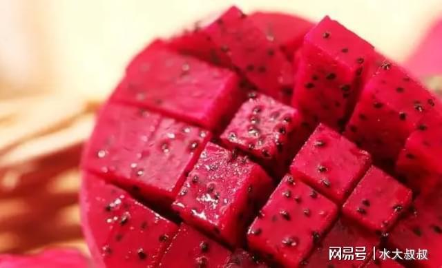 狗可以吃火龍果嗎_狗可以吃火龍果的功效與作用_果狗吃火龍可以驅蟲嗎