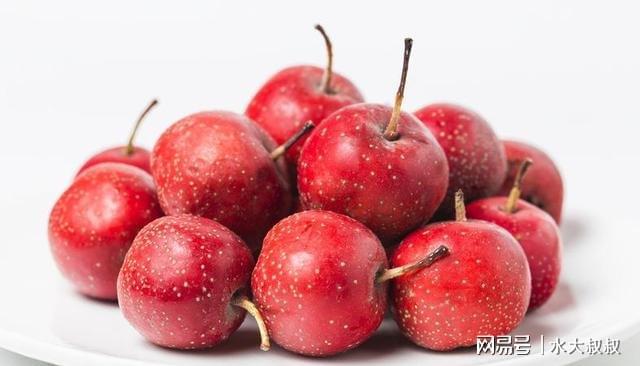 狗可以吃火龍果的功效與作用_狗可以吃火龍果嗎_果狗吃火龍可以驅蟲嗎