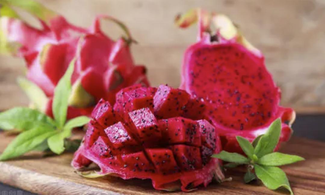 狗可以吃火龍果嗎_果狗吃火龍可以催熟嗎_果狗吃火龍可以驅蟲嗎