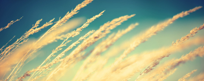 沒有情人的情人節(jié)說說心情短語