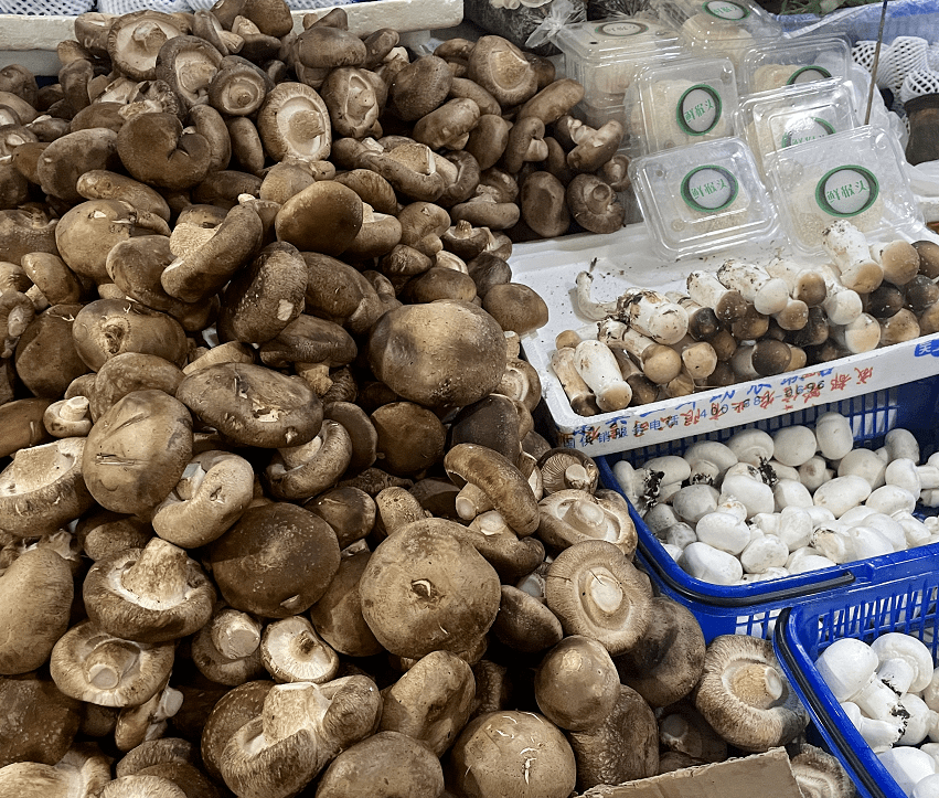 杭州觀賞魚批發市場_杭州市觀賞魚批發市場_杭州賣魚的市場