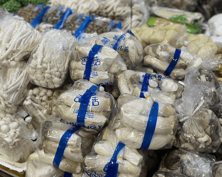 杭州賣魚的市場_杭州市觀賞魚批發市場_杭州觀賞魚批發市場