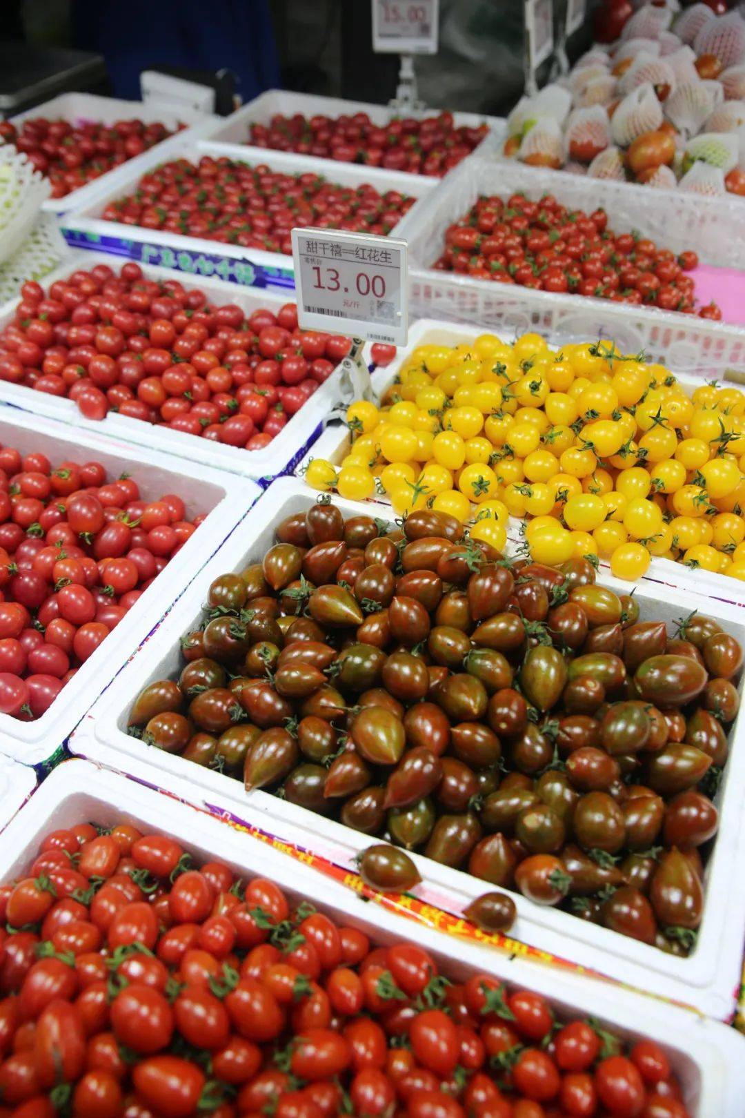 杭州賣魚的市場_杭州市觀賞魚批發市場_杭州觀賞魚批發市場