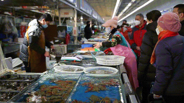 杭州賣魚的市場_杭州市觀賞魚批發市場_杭州觀賞魚批發市場