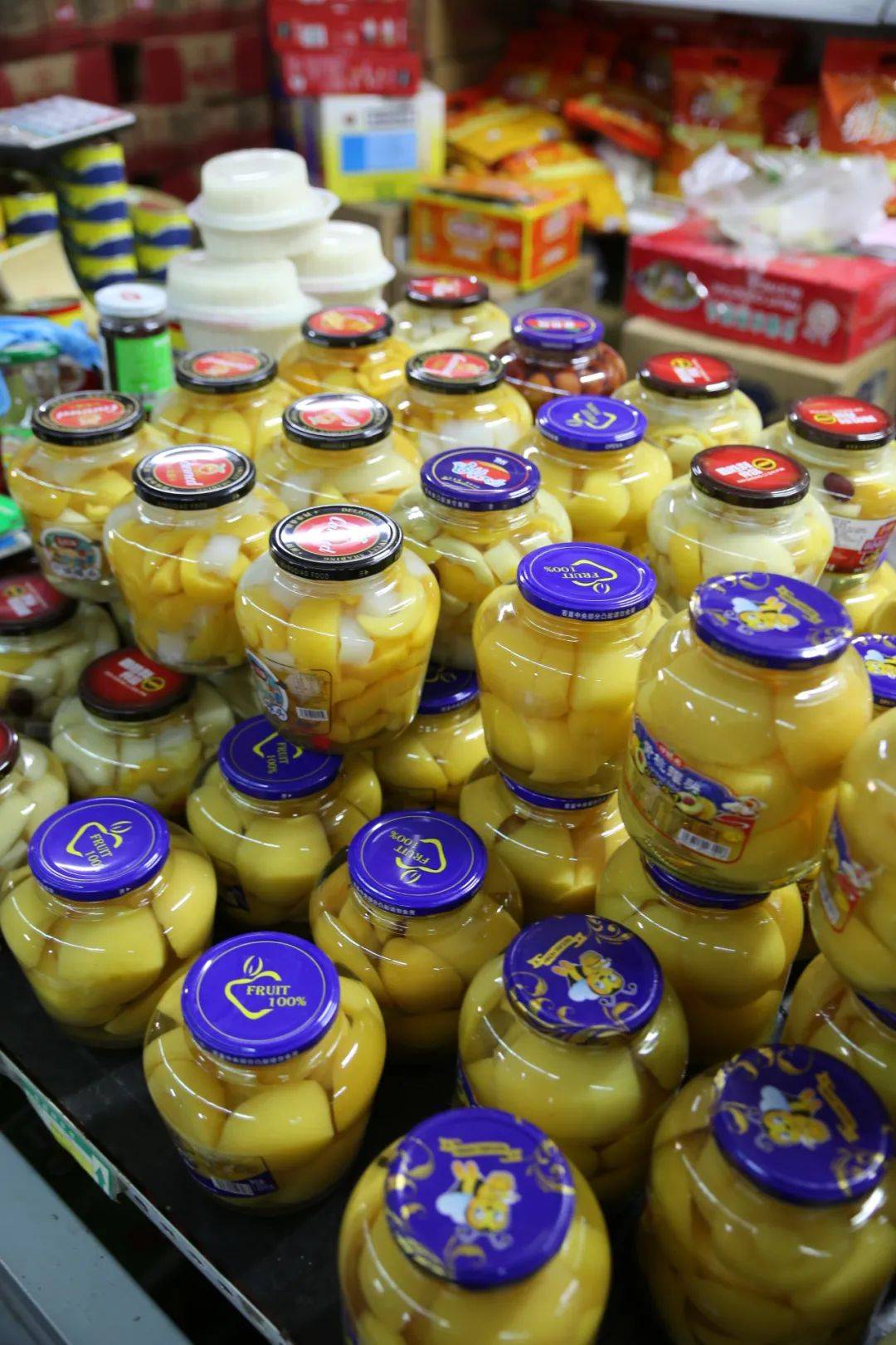 杭州市觀賞魚批發市場_杭州賣魚的市場_杭州觀賞魚批發市場