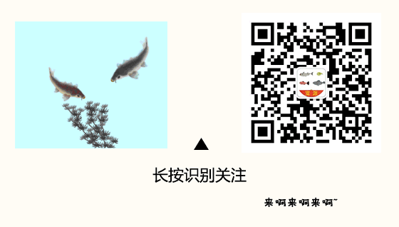 觀賞中型漂亮魚品種_好看的中型觀賞魚_最漂亮的中型觀賞魚