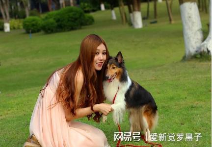 狗狗打的狂犬疫苗價格_給狗打疫苗多少錢狂犬_給狗狗打狂犬疫苗多少錢