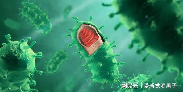 狗狗打的狂犬疫苗價格_給狗狗打狂犬疫苗多少錢_給狗打疫苗多少錢狂犬