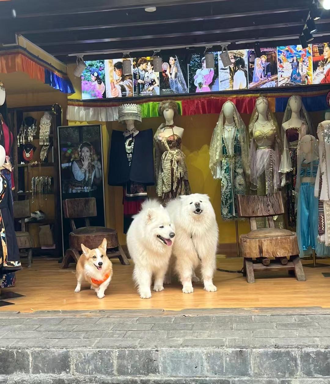 云南去旅游攻略_到云南旅游全攻略_去云南旅游線路