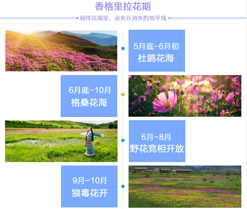 松贊林寺旅游攻略_松贊林寺旅游攻略_松贊林寺旅游攻略