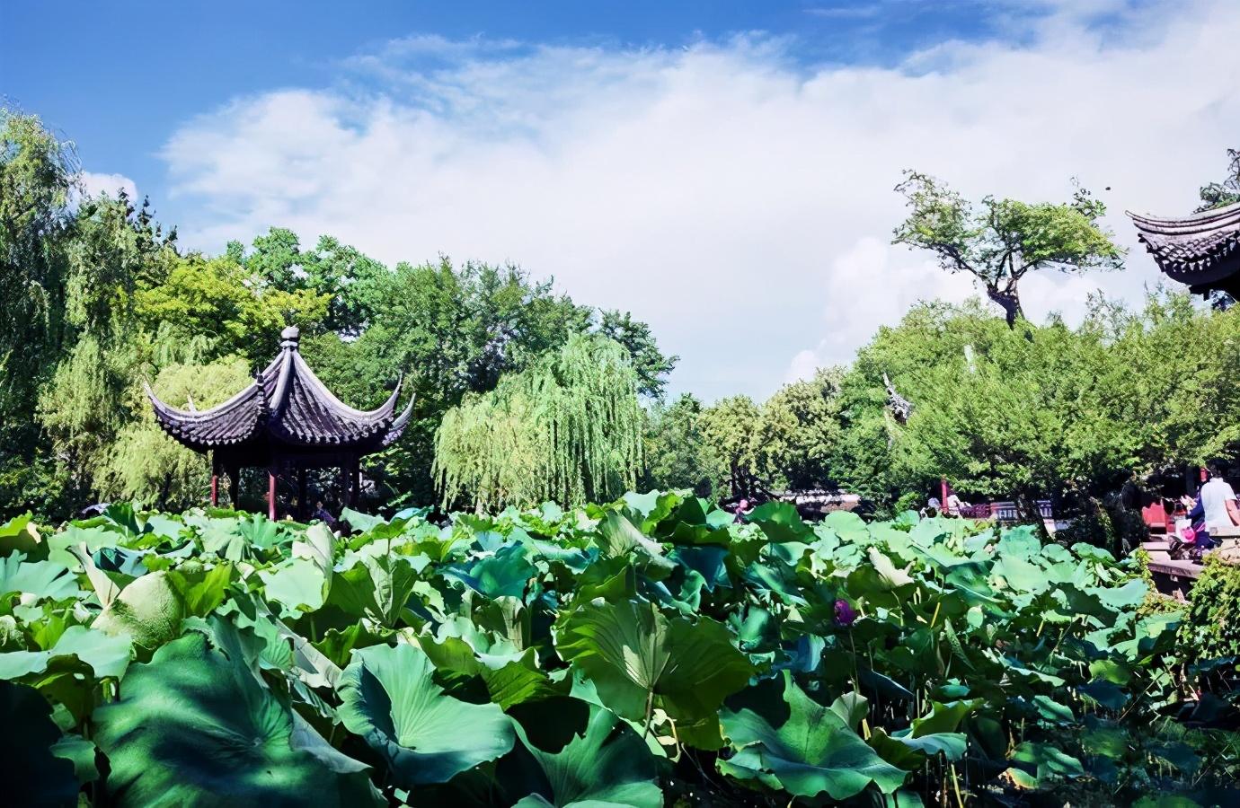 金雞湖旅游攻略看看_金雞湖攻略_金雞湖游玩攻略