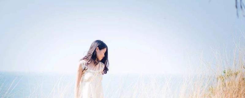 主角養觀賞魚發家的小說_養觀賞魚的小說_養魚的小說