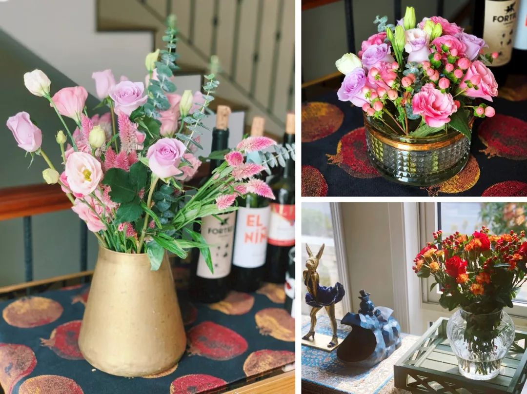 多肉植物寶石花_多肉 寶石花_多肉植物寶石花的含義