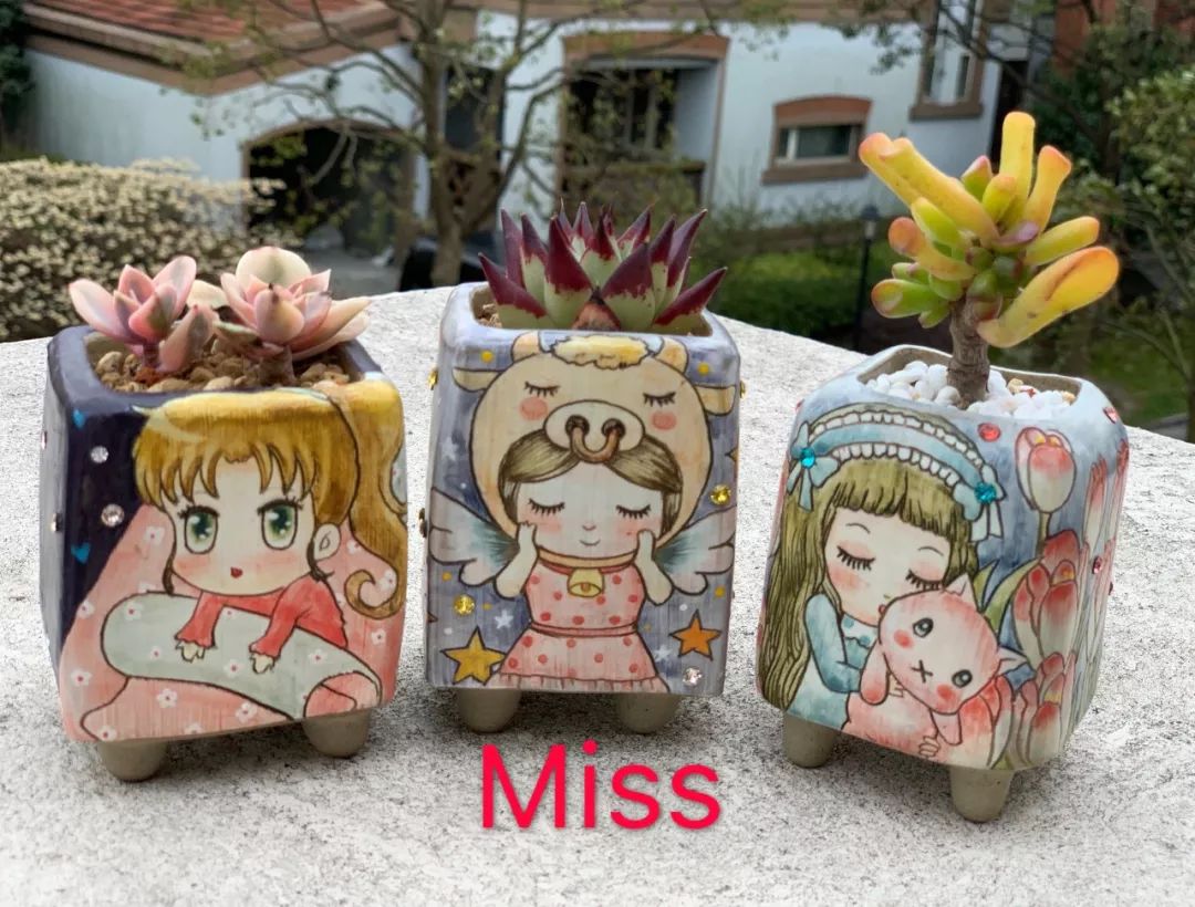 多肉植物寶石花_多肉 寶石花_多肉植物寶石花的含義