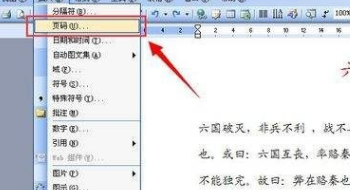 word頁碼設置為什么所有有的頁碼都是一