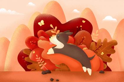 多肉放辦公桌左邊還是右邊_多肉放在辦公室怎么養_辦公桌上放多肉