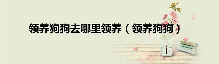 領養狗狗去哪里領養_領養狗狗去哪里領養福州_領養狗狗去哪個app