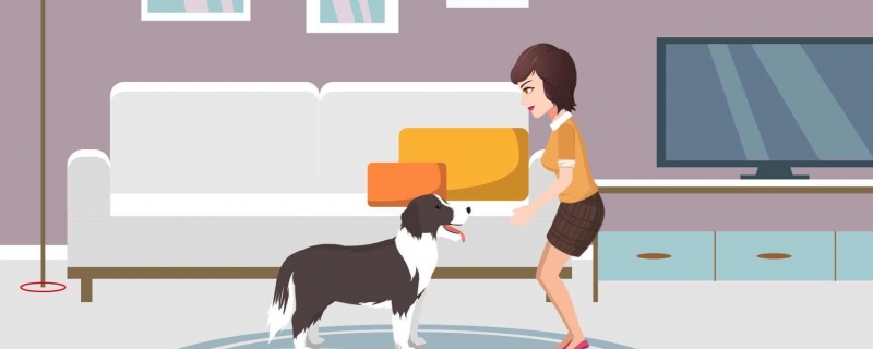 狗狗取名招財又吉利的名字 招財旺主人的狗