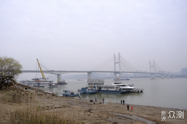 武漢最大觀賞魚市場_武漢魚市場在哪里_武漢觀賞魚市場