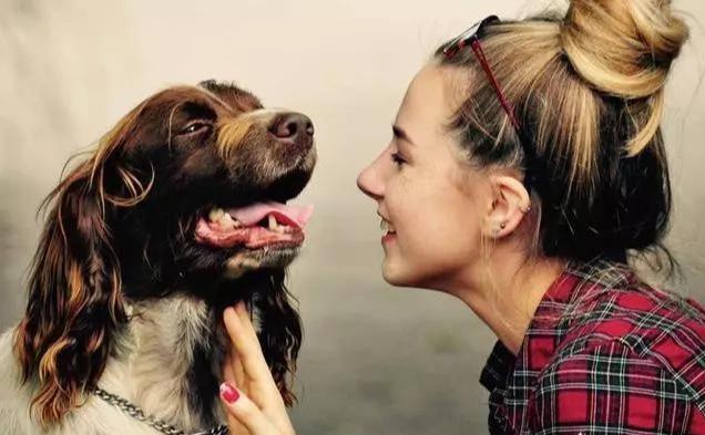 狗狗聽得懂人說話嗎？它并不能理解真正意思