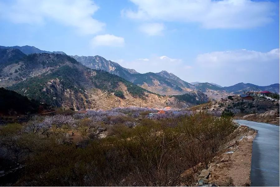 青島雕龍嘴村旅游攻略_青島雕龍嘴村好玩么_青島最美鄉村雕龍嘴