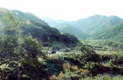 青島雕龍嘴村好玩么_青島雕龍嘴村旅游攻略_青島最美鄉村雕龍嘴