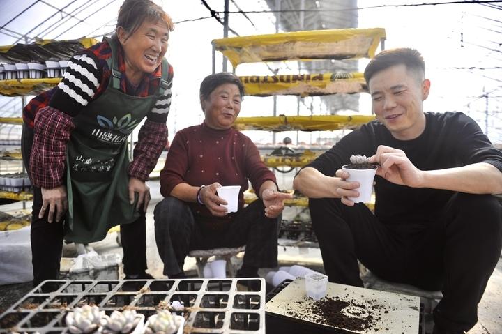 走進(jìn)熊掌柜的“多肉王國”，瞅一眼瞬間被治