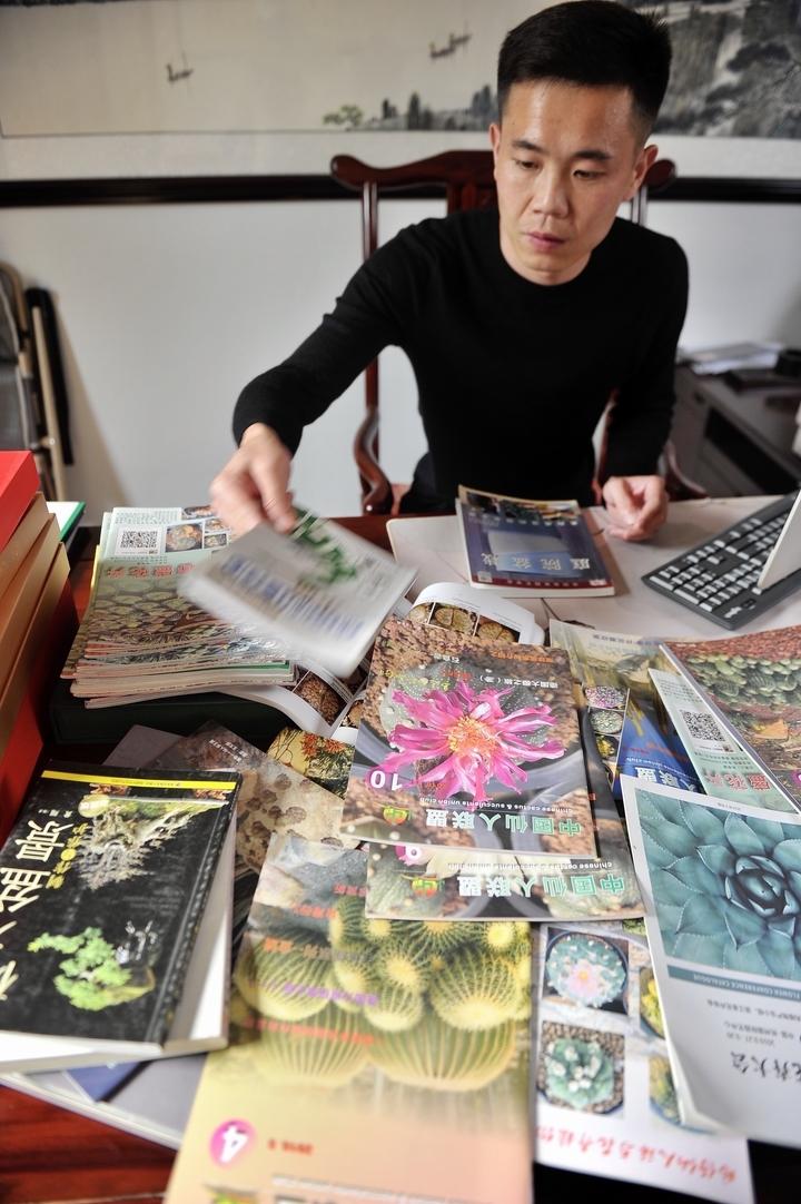 總寫名言的叫迭名_多肉本名叫什么_多肉命名怎么來的