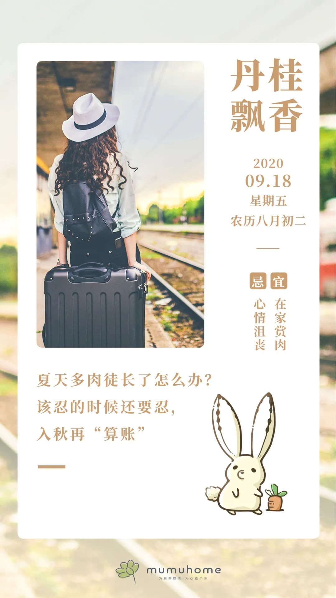 淡雪多肉種什么盆好看_盆多肉是什么_淡雪多肉配什么花瓶好看