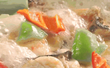 淡水鯊觀賞魚_淡水觀賞鯊魚的種類大全_觀賞鯊淡水魚能吃嗎