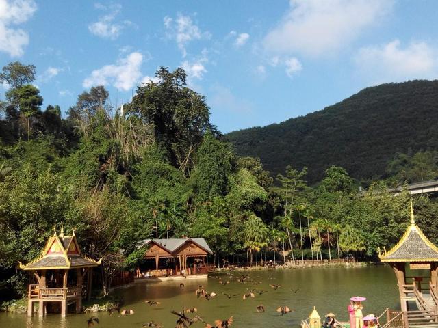 百度西雙版納旅游景點_廣西西雙版納旅游景點攻略自由行_云南西雙版納旅游景點大全排行