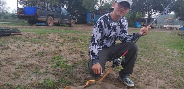 招財貓鯰魚_觀賞魚鯰魚招財貓_觀賞招財貓鯰魚魚苗圖片