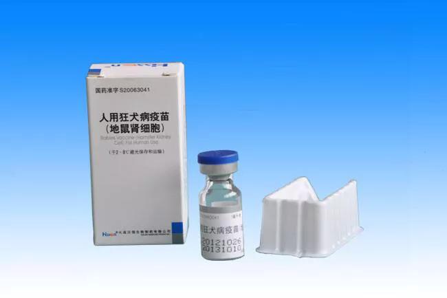 被狗咬傷，狂犬病潛伏期最長多久時間？