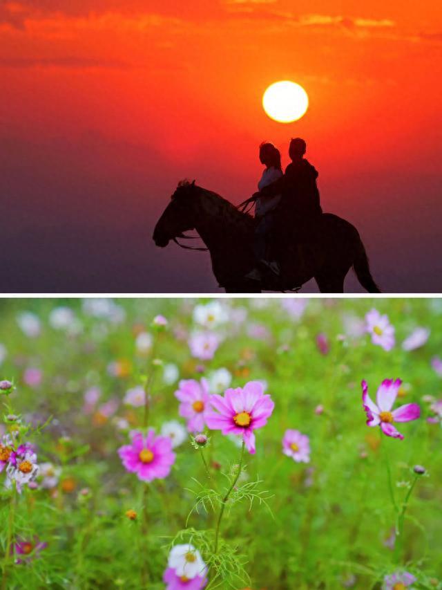 宜昌市旅游攻略_宜昌市內(nèi)旅游攻略_宜昌市十大旅游景點(diǎn)排名