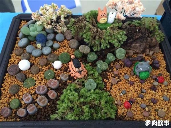 介紹10種常見顆粒土，多肉上盆選清楚