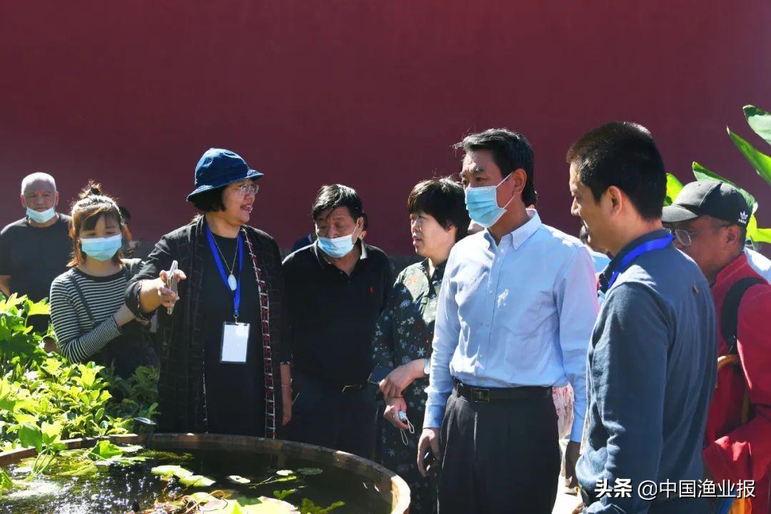 觀賞魚醫院_觀賞魚場_觀賞魚診所