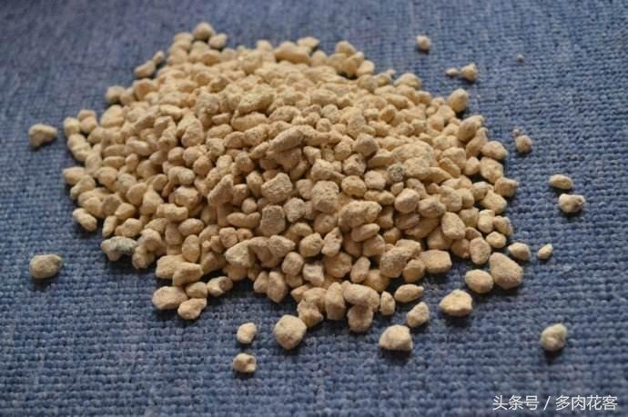 玩轉多肉植物系列，種肉石頭篇，赤玉土是什么土，有什么用呢？