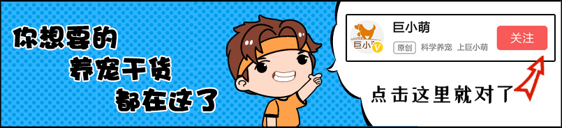 狗叫說明_狗叫是啥意思_狗叫預示什么意思