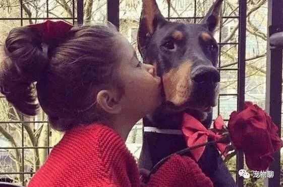 狗狗蔬菜吃可以補鈣嗎_狗狗吃蔬菜水果嗎_狗狗可以吃什么蔬菜